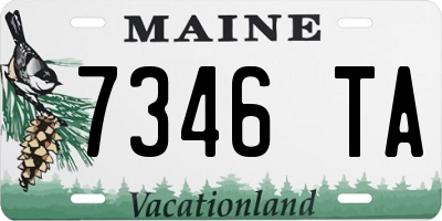 ME license plate 7346TA
