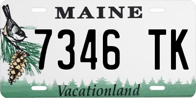 ME license plate 7346TK