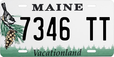 ME license plate 7346TT