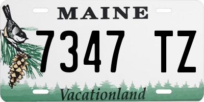 ME license plate 7347TZ