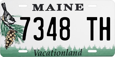 ME license plate 7348TH