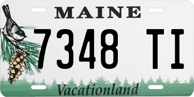ME license plate 7348TI