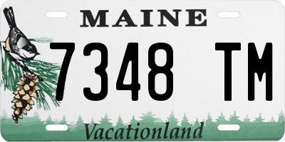 ME license plate 7348TM