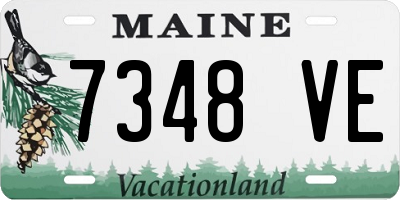 ME license plate 7348VE