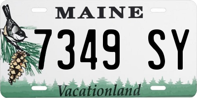 ME license plate 7349SY
