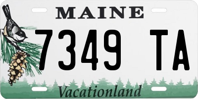 ME license plate 7349TA