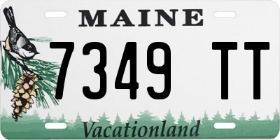 ME license plate 7349TT