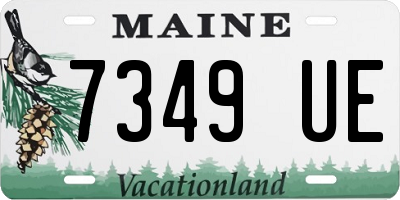 ME license plate 7349UE
