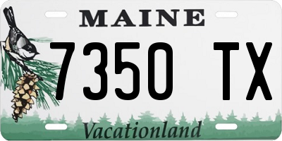 ME license plate 7350TX