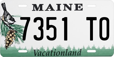 ME license plate 7351TO