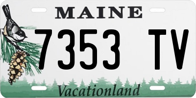 ME license plate 7353TV