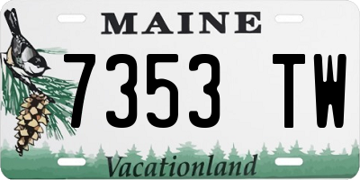 ME license plate 7353TW