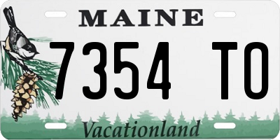 ME license plate 7354TO
