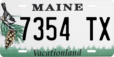 ME license plate 7354TX