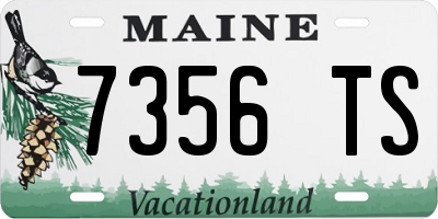 ME license plate 7356TS