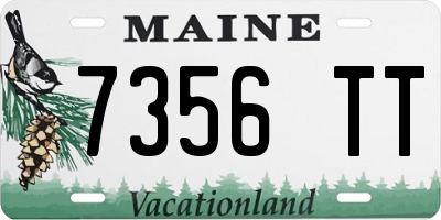 ME license plate 7356TT