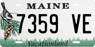 ME license plate 7359VE