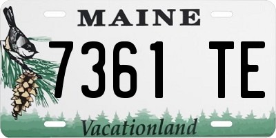 ME license plate 7361TE