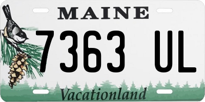 ME license plate 7363UL
