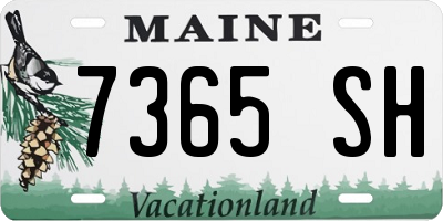 ME license plate 7365SH