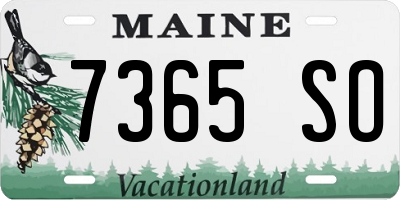 ME license plate 7365SO