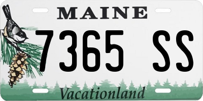 ME license plate 7365SS