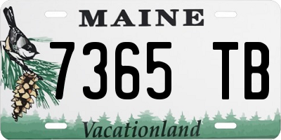 ME license plate 7365TB