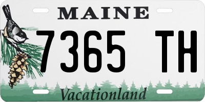ME license plate 7365TH
