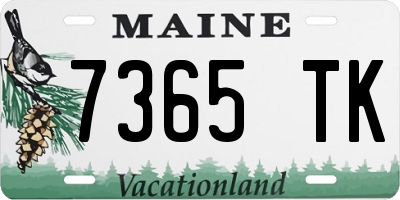 ME license plate 7365TK