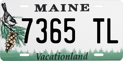 ME license plate 7365TL