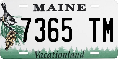 ME license plate 7365TM