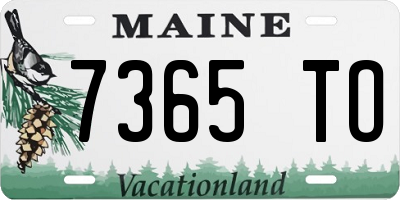 ME license plate 7365TO