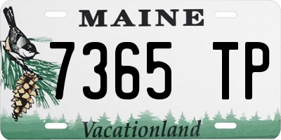 ME license plate 7365TP