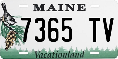 ME license plate 7365TV