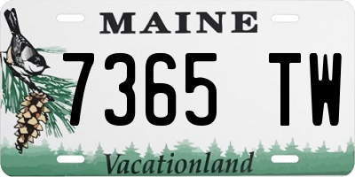 ME license plate 7365TW