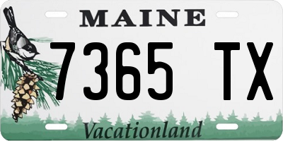 ME license plate 7365TX