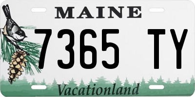 ME license plate 7365TY