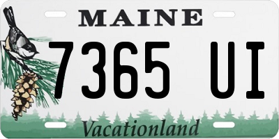 ME license plate 7365UI
