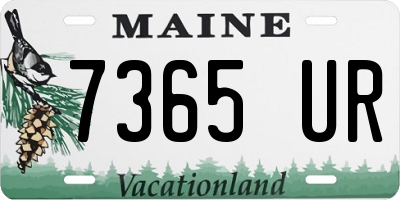 ME license plate 7365UR