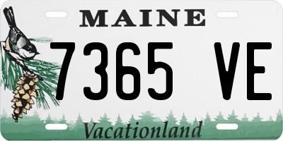 ME license plate 7365VE