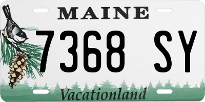 ME license plate 7368SY