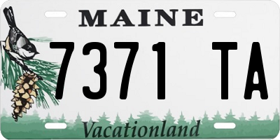 ME license plate 7371TA
