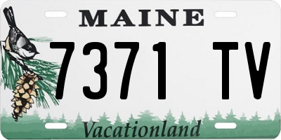 ME license plate 7371TV