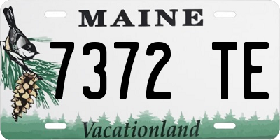 ME license plate 7372TE