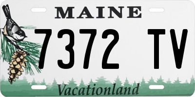 ME license plate 7372TV
