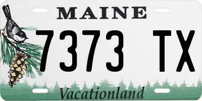 ME license plate 7373TX