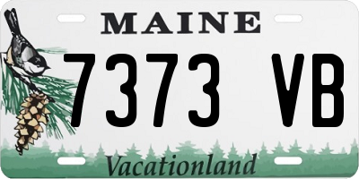ME license plate 7373VB