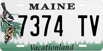 ME license plate 7374TV