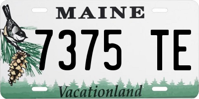 ME license plate 7375TE