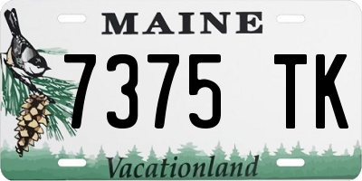 ME license plate 7375TK